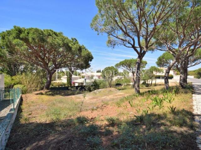 Quinta do Lago Algarve 63955647