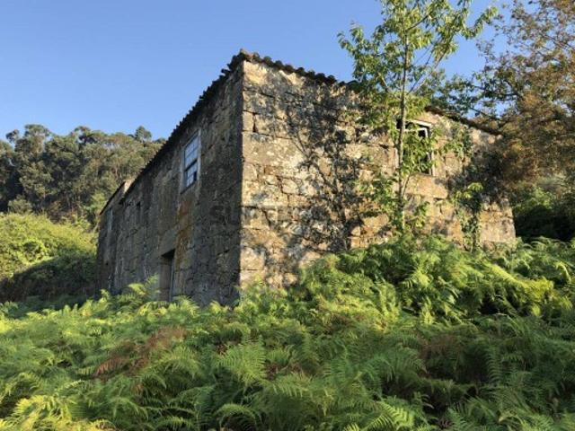 Quinta do Monte com Edifício Freigil Resende