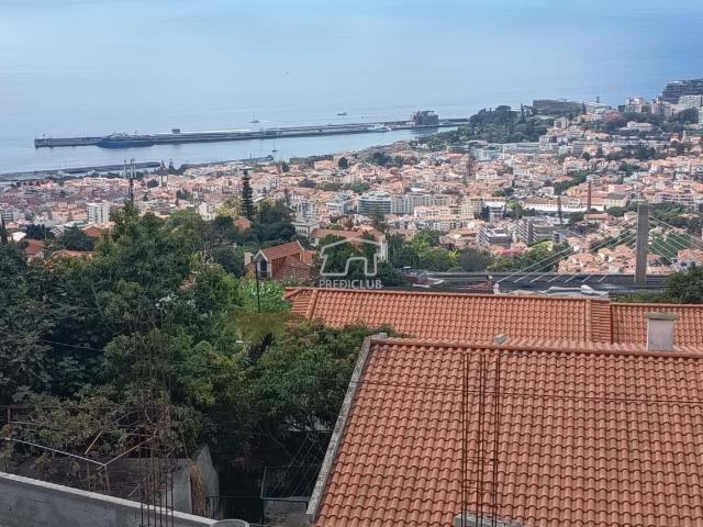 Quinta do Salvador, Livramento | Funchal