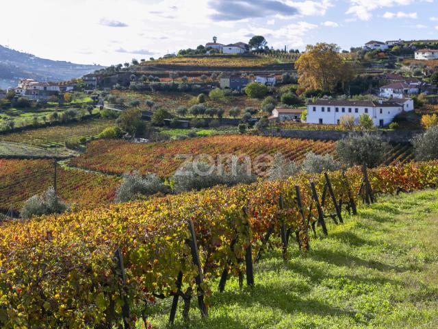 Quinta do Viso Peso da Régua
