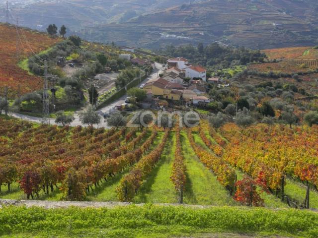 Quinta do Viso Peso da Régua