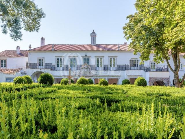 Quinta do Xvii no centro da vila de Borba, Évora 724m² Borba Matriz