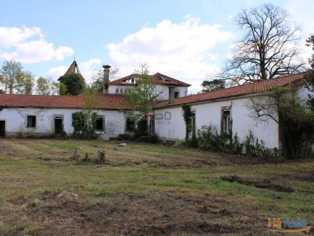 Quinta dos Torneiros Oliveira de Frades | 26083342792