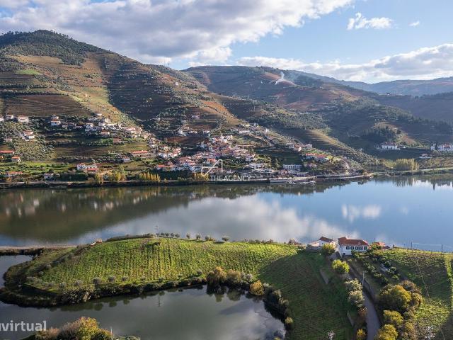 Quinta da Capela, uma propriedade produtora de vinho de 16 hectares j