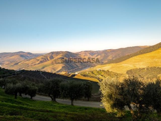 Quinta da Carvalheira, Ervedosa do Douro