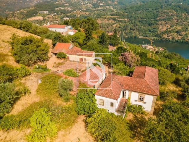 Quinta da Assureira Douro Arrendamento