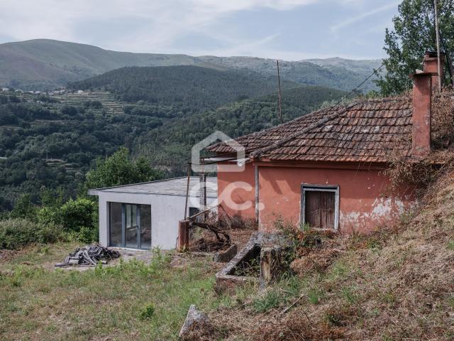 Quinta da Boucha Castro Daire – 2,1 Hectares