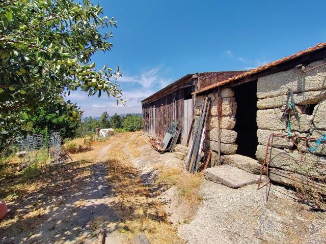 Quinta da Portinha, para projeto agrícola, em S. Tomé de Covelas perto do rio Douro, no concelho de Baião, Porto