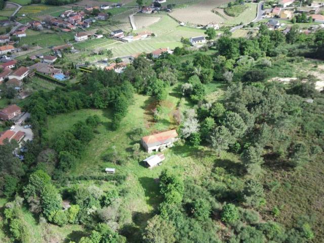 QUINTA DA PIELA