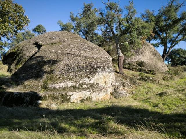 Quinta da Ribeirinha Escalos de Baixo