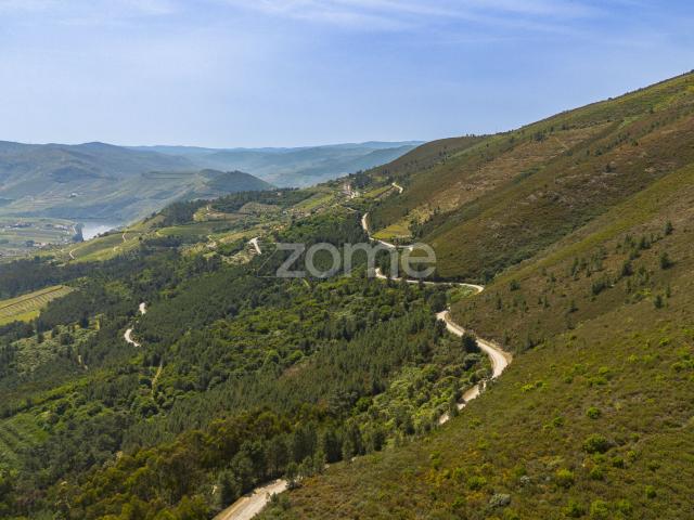 Quinta das Beatas, Gouvães do Douro
