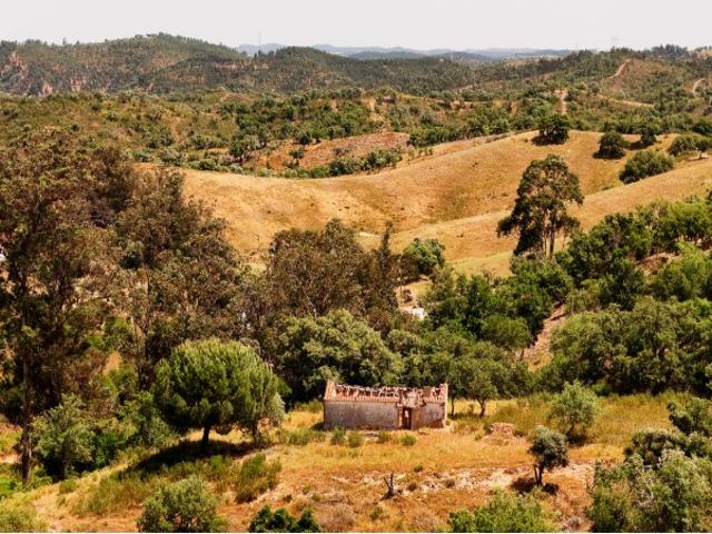 Quinta de 3,98ha com ruína e projeto em Odemira