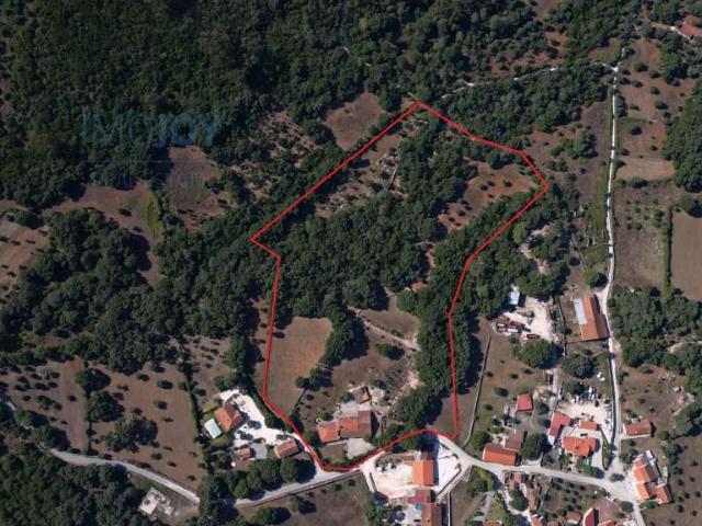 Quinta de 3 Hectares para Venda em Alcanede, Santarém 271m² Alcanede