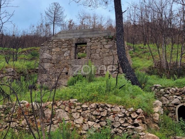 Quinta de ~3ha com duas moradias para reconstrução total