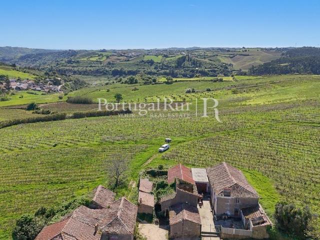 Quinta de 10,5 ha com vinha e construções em Alenquer 260m² Ribafria e Pereiro de Palhacana