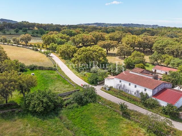 Quinta de 10 ha com projeto aprovado para 2 moradias em Marv. 215m² São Salvador Da Aramenha