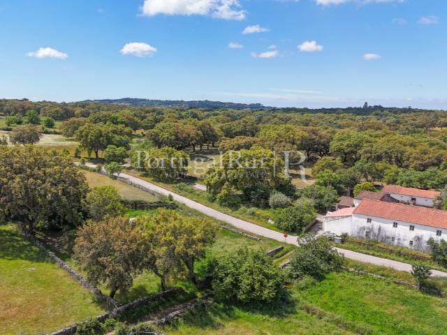 Quinta de 10 ha com projeto aprovado para 2 moradias em Marvão