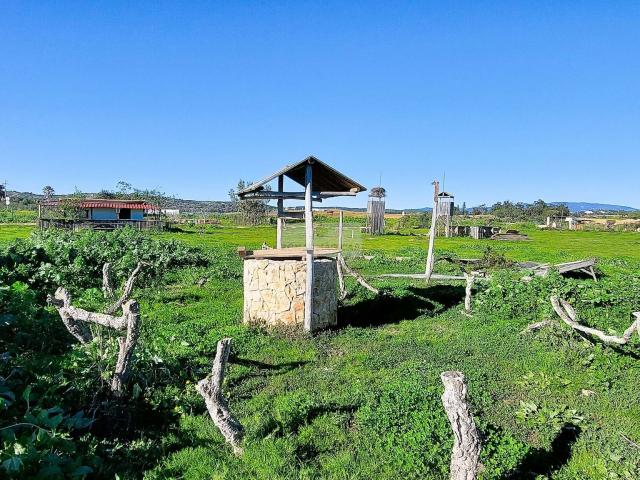 Quinta de 12 hectares para venda com muita água junto à N125