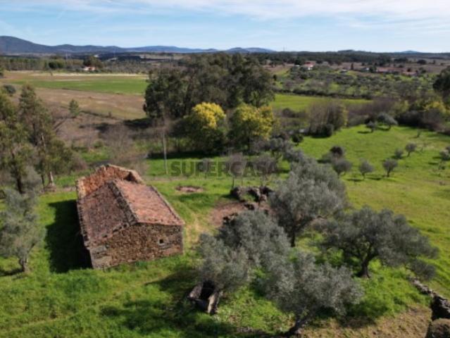 Quinta de 15000 m2 com casa rústica, ribeira, 2 poços e árvores