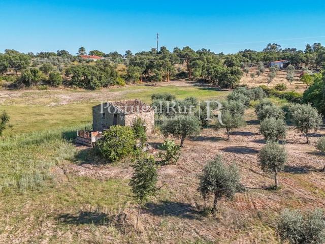 Quinta de 1,5 ha com casa rural e charca 0m² São Miguel De Acha