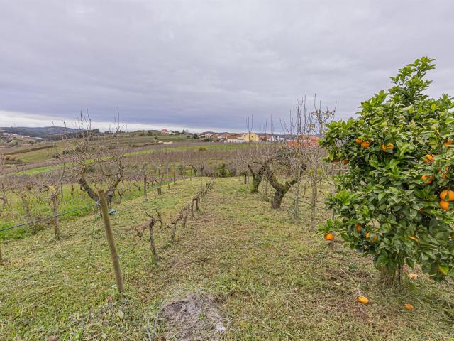 Quinta de 2160m2 e Casa com 6 quartos+piscina I Painho Cadav. 250m² Painho e Figueiros