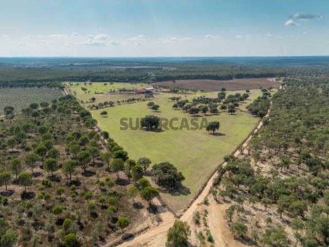 Quinta de 36 hectares para venda em Ponte de Sôr