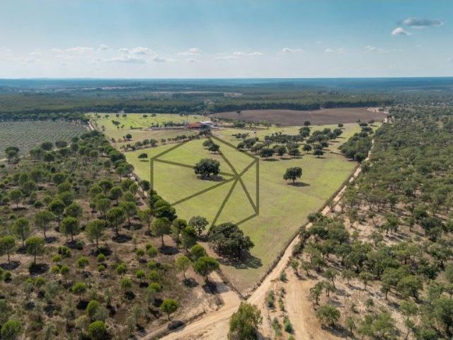 Quinta de 36 hectares para venda em Ponte de Sr