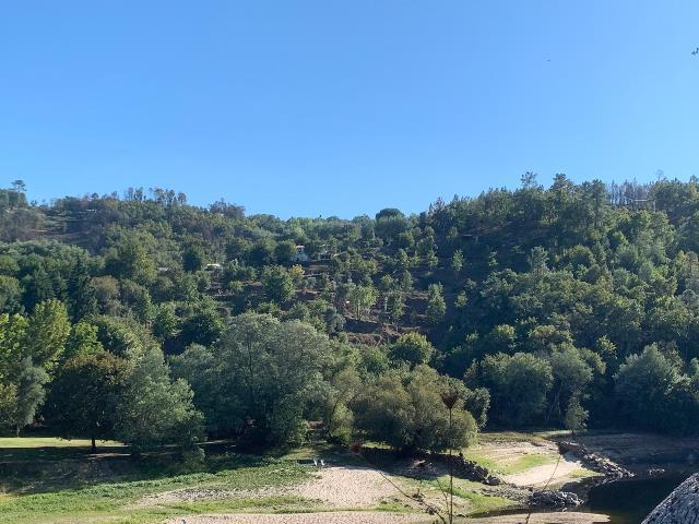 Quinta de 7 hectares com privacidade, exploração agrícola e. 277m² Tábua