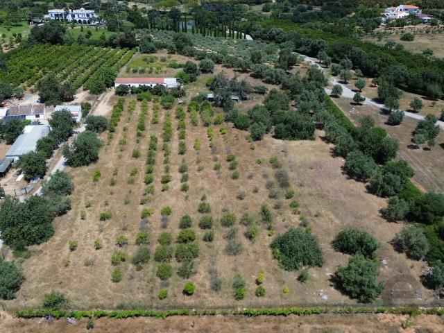 Quinta de 6 assoalhadas com 1,5 hectares de terreno e vista mar