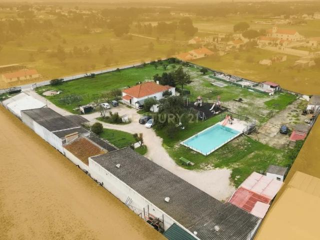 Quinta de 7800 m2 com Casa Principal T3, Apartamento T1 e 6. 295m² Quinta Do Anjo
