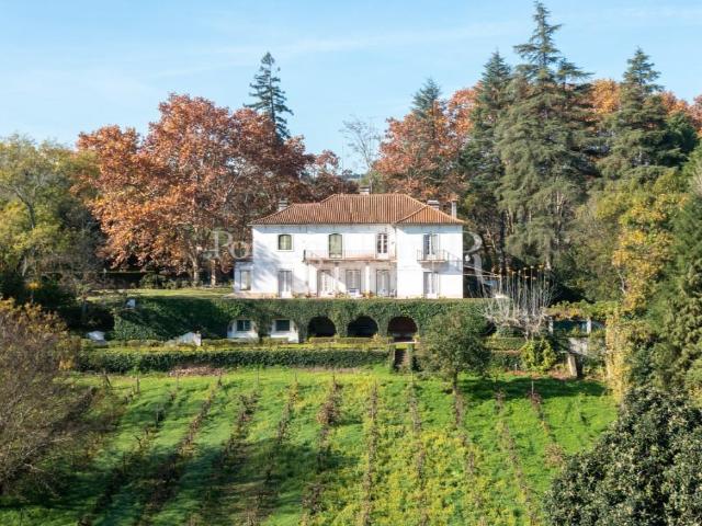 Quinta de charme com 4,3 hectares na margem do rio, a 1 hora. 780m² Torres Novas São Pedro, Lapas e Ribeira Branca