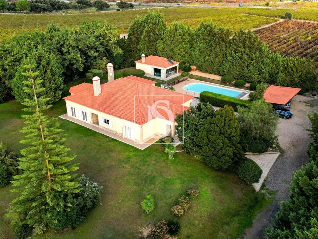 Quinta de Charme em Palmela com Moradia T6, Piscina e Vinha Privada, Palmela