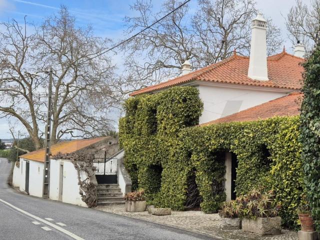 Quinta de charme, em terreno de 14,4 ha, a 36 min de Lisboa 425m² Carvoeira e Carmões