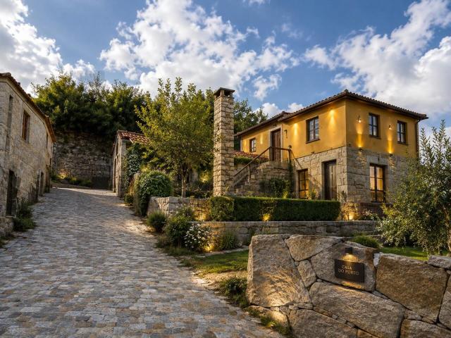 Quinta de Encanto no Douro | 7.000 m² de Natureza, Tranquilidade e Potencial