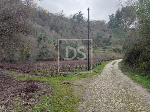 Quinta de Fornelos