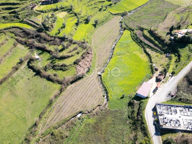 Quinta de Santa Tecla – Propriedade Rural com Vinhedo e Água