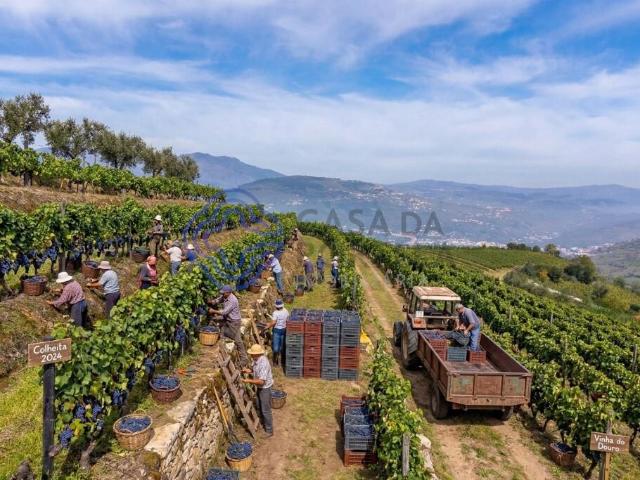 Quinta de Sequeiros em Sande, Lamego