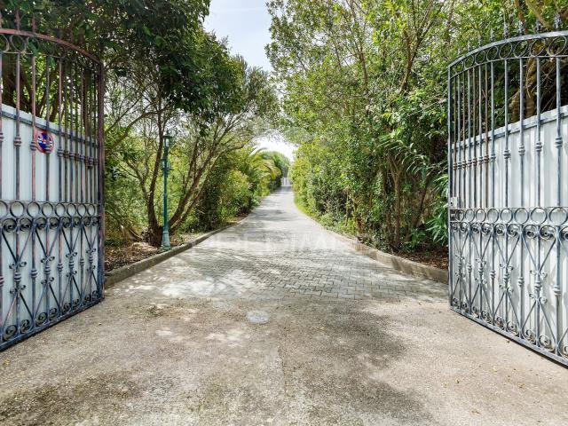 Quinta de Prestígio com 1,24 Hectares | Vista Deslumbrante sobre o Tejo | Moradia T3 | Vila Franca de Xira
