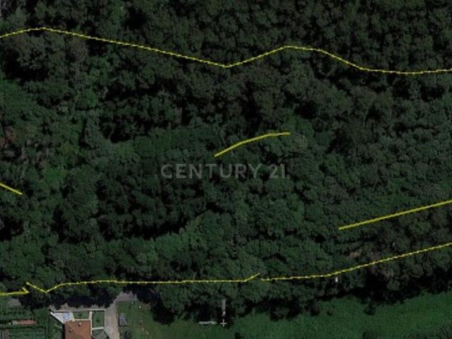 Quinta e Herdade T5, Escudeiros e Penso Santo Estêvão e São Vicente, Braga | BPI Expresso Imobiliário