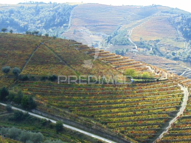 Quinta e Herdade >T10+1, Abaças, Vila Real | BPI Expresso Imobiliário