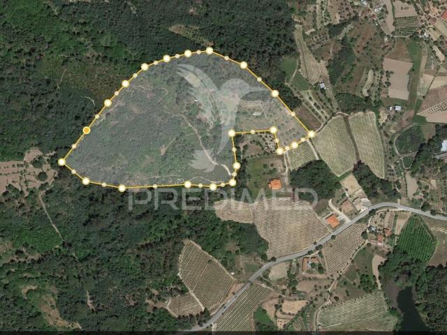 Quinta e Herdade >T10+1, Povolide, Viseu | BPI Expresso Imobiliário