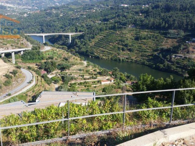 Quinta e Moradia de luxo 800m² Frende