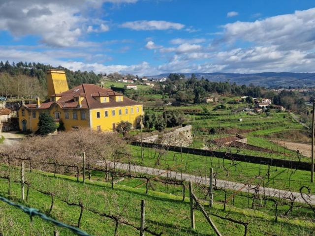 Quinta em Constance, Casa da Quintã, Marco de Canaveses