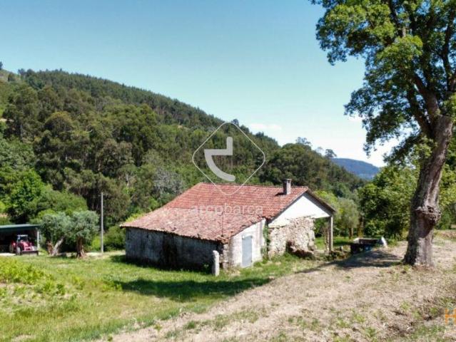 Quinta em Anais com ruina, nascente de agua e cerca de 26000m2 terreno. | 25033812467