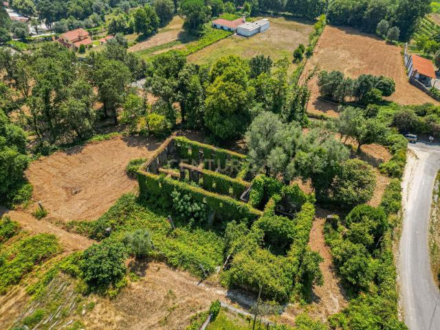 Quinta em Anais, Ponte de Lima – Oportunidade Única de Investimento Rural