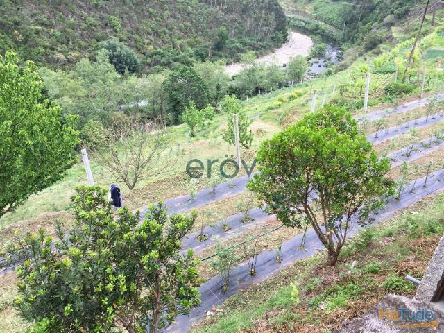 Quinta em Arouca Moldes | 26064039804