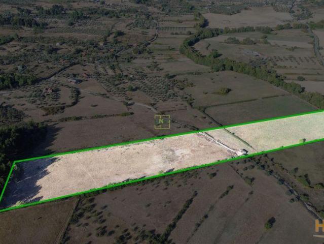 Quinta em Atalaia do Campo Fundão | 26063703193