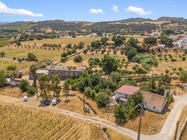 Quinta em Borba: projeto de enoturismo e vinha DOP, Alentejo