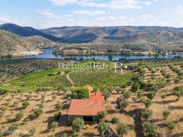 Quinta em Barca D'Alva Douro