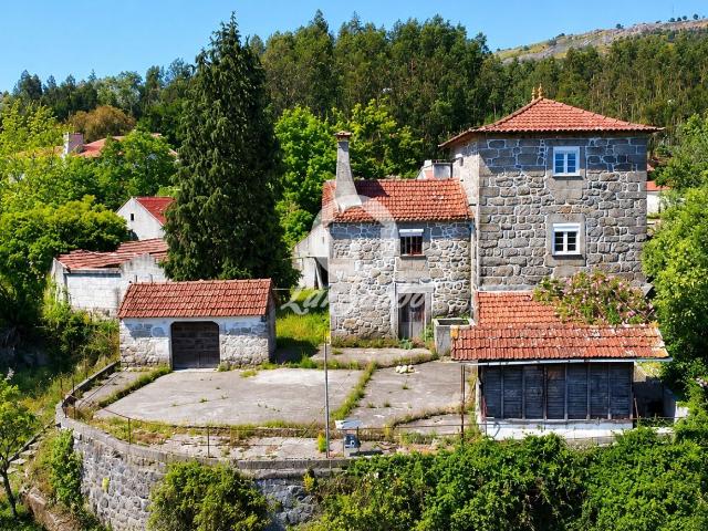 Quinta no Minho com 16.000 m²